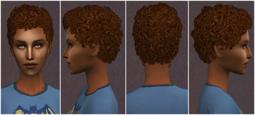 So because DROPBOX, does anyone have this hair, Close Curls converted by Trapping for both male and 