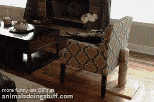 When I have a lot of work that I should be doing: