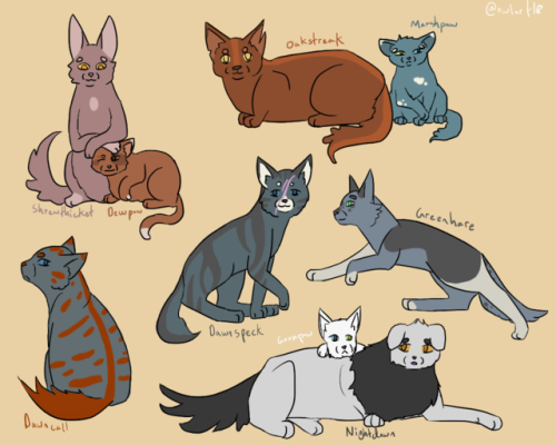 Warrior cats that disappeared by Onyxpaw – BlogClan