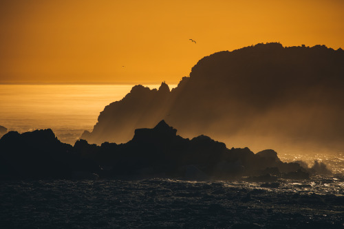 twillingate - may 2019