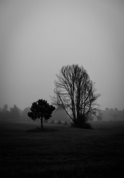 periscope-9: Lovers in the mist. By periscope9 