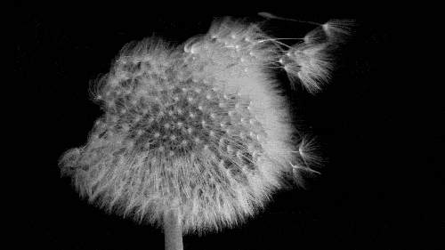 intrigxnz.tumblr.com/post/80264375568/
