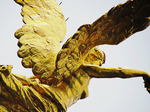 jonathan309: Angel de la independencia