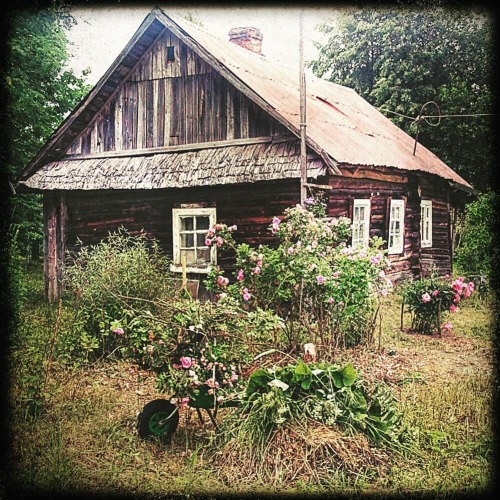 Can’t wait! . #cabin #garden #sweethome #placeofpower #ruralhouse #oldhouse #ruralhouse #домик