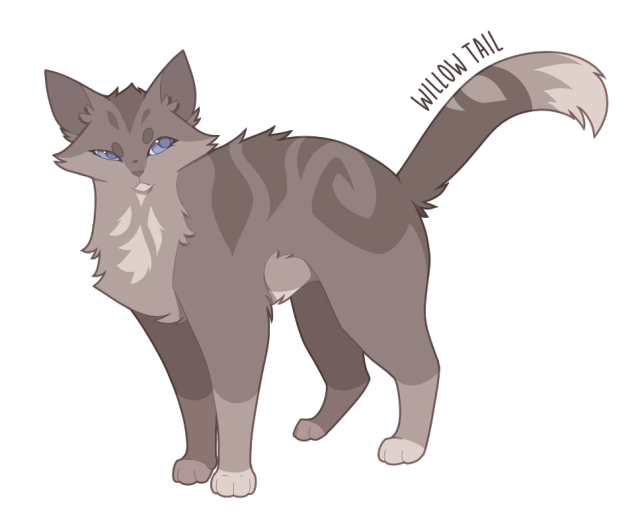 Warrior Cat Designs — Willow Tail Warrior Of Windclan “willow Tail