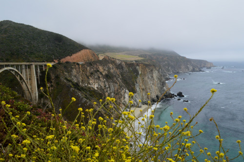 The first two days at Big Sur have been amazing. The morning fog washed away by the afternoon and Je