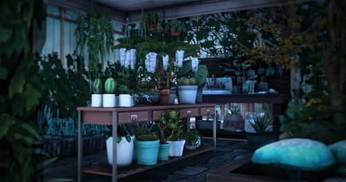 junipasims:So, my occult shop now has a little greenhouse where Sims can buy rare and exotic plans f