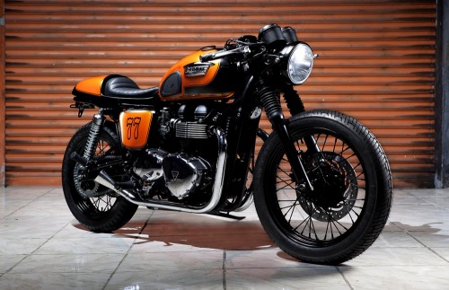 combustible-contraptions:  Triumph | Tango Cafe Racer | Triumph - TMC 