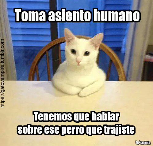 jaidefinichon:  Esas cosas se conversan primero…