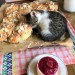 catasters:
