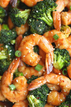 verticalfood:Easy Shrimp and Broccoli Stir Fry