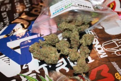 Exposedspine:  More Jack Herer 