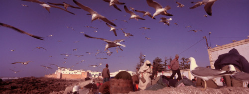 hopeful-melancholy:  Morocco, 2000.