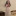 felt-u:  weloveshortvideos:  My kitty loves kisses on her mouth  ME N MY CAT 