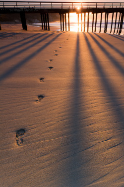 r2–d2:  Footprints in the Sand 