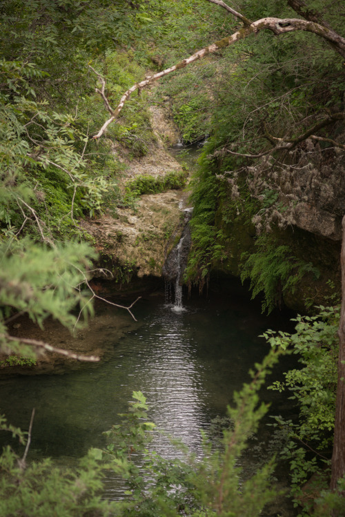 Texas landscapes have consistently humbled this Northeastern gal.  I get from the soil and spir