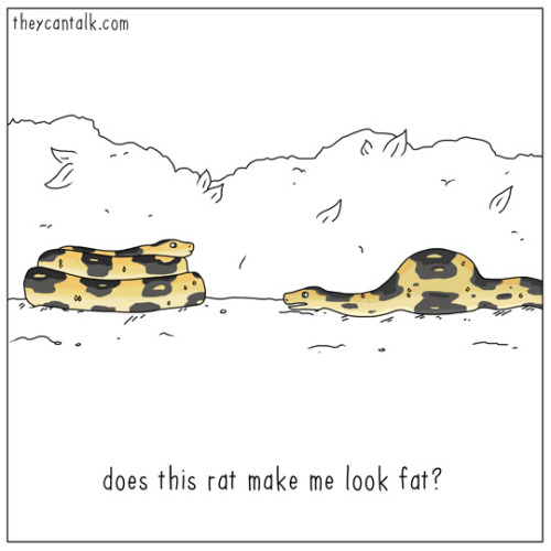 theycantalk:fat