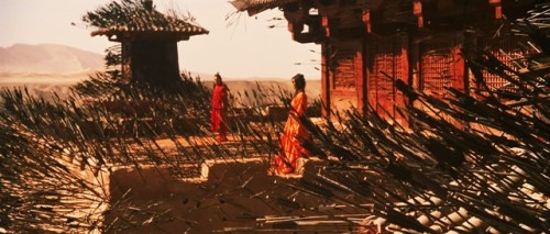 cinematic-portraits:Hero (Zhang Yimou, 2002)