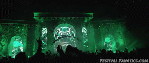 Festival Fanatics