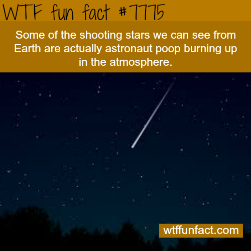 wtf-fun-factss: Shooting stars - WTF fun fact