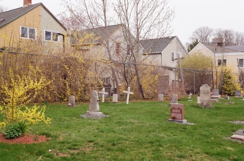 ingrids-lockbox:Holy Cross CemeteryMay 201935mm Nikon FG-20