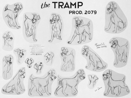 Model sheets for Lady And The Tramp 