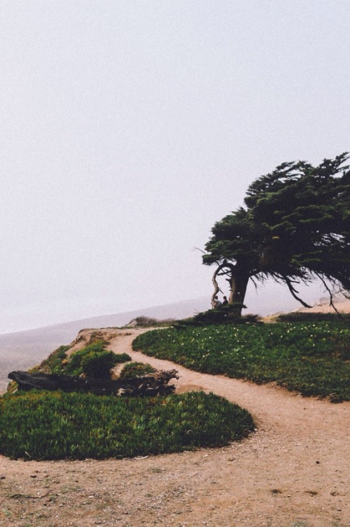 swiftbeat:  (by Sam Alive) 