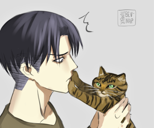 bev-nap:Yeah I ship Levi x Cats… I bet you’re so jealous of this fur ball, I know I am.