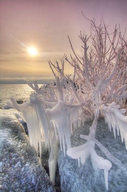 peeblespair:  kingxen:  janetmillslove:  Sunset and Ice moment love http://philotheoristic.tumblr.com/post/106582418129