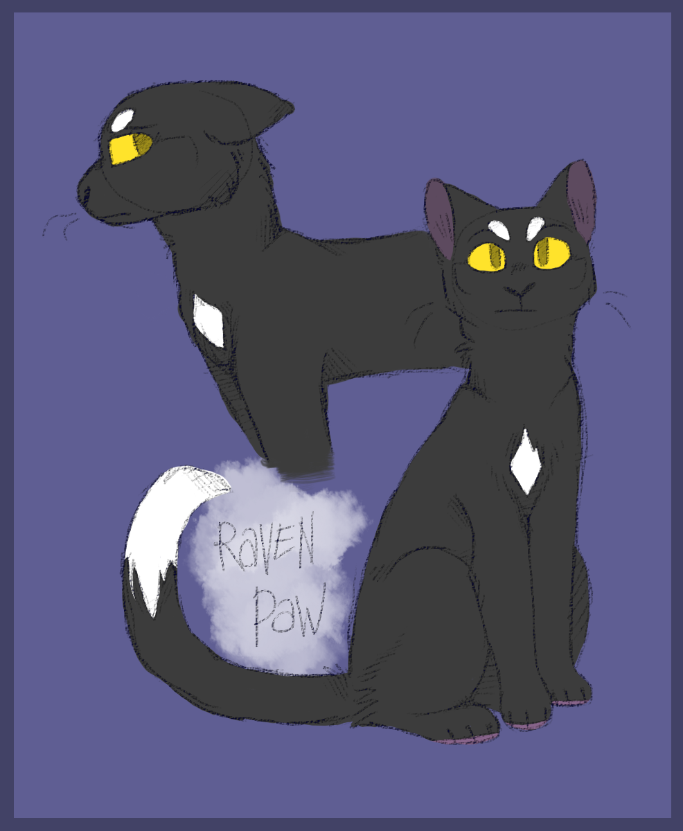 Ravenpaw, Warriors Wiki