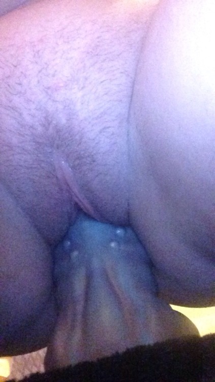 http-kitten:  Flint dildo.  shop // spoil me // snapchat // twitter // instagram // xhamster // pornhub **Leave Caption intact or feel my wrath.   