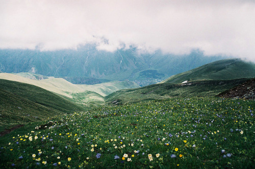 contempts-blog:Paradise by anna gulisashvili on Flickr.