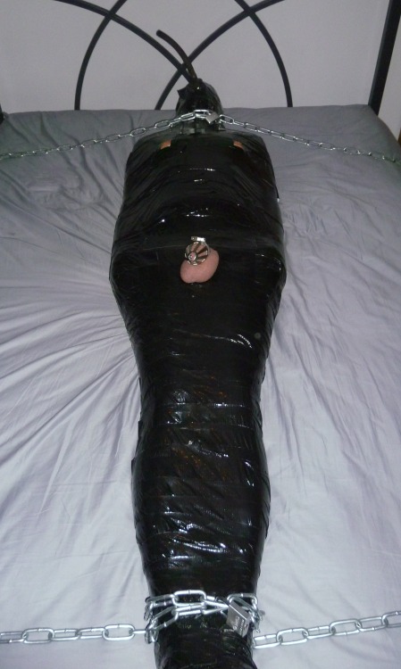 https://lovetapebondage.tumblr.com/post/135865674001