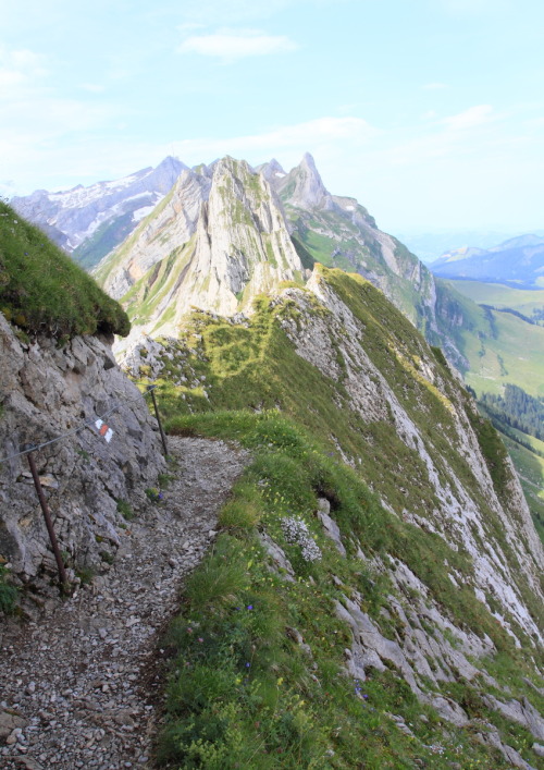 2013: The Swiss do like their hairy walks, but at least they warn you. Path from Schäfler to Altenal