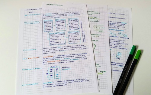 Ad Astra Per Aspera • Color Coding Notes 101 by aca-demia