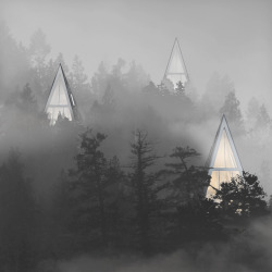 sevenknotwind:  Konrad Wójcik (on behance)Primeval Symbiosis -Single Pole House(found while researching non-urban/remote architecture for a potential new project…) 