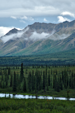 expressions-of-nature:  Overcast by: Lee