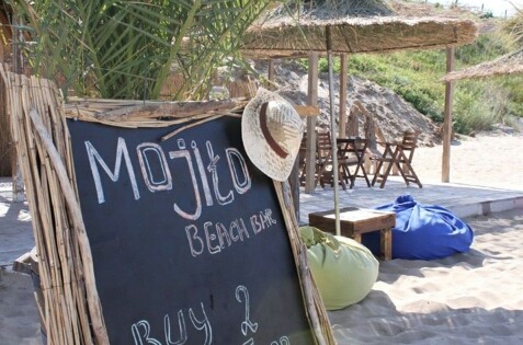 aloasis:  •Tropical // Indie•