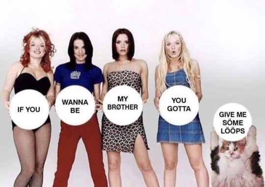 cat-memes-only:  