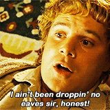 ianmckellen:  lotr meme: nine characters (5/9) → Samwise Gamgee &ldquo;You’ve