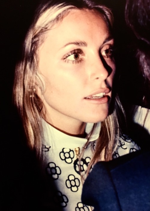 simply-sharon-tate: Sharon Tate, photographed porn pictures