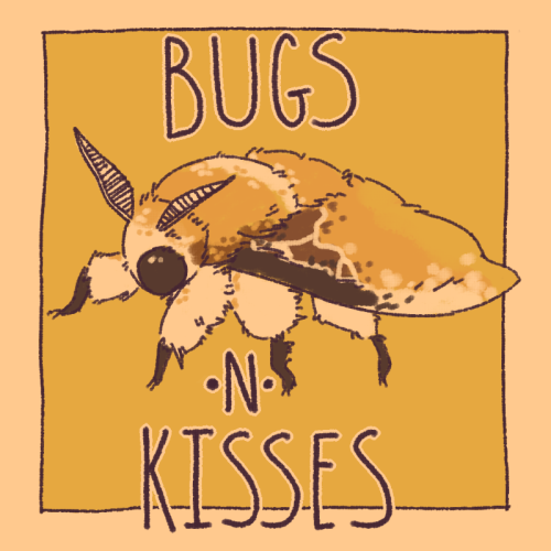 faun-buns: luv bugs.,..,