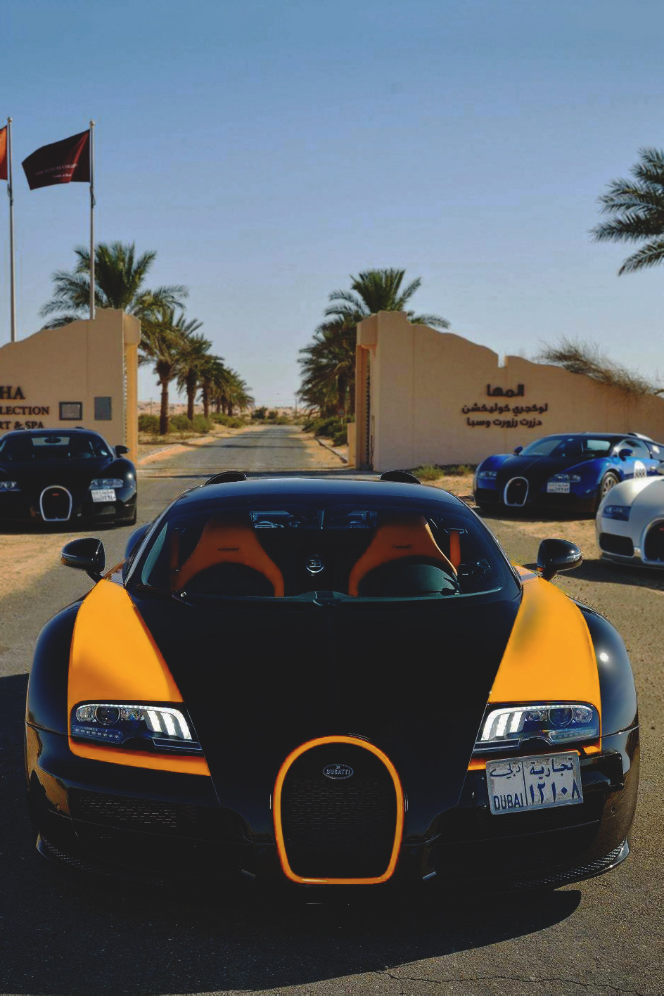 artoftheautomobile:  Bugatti Veyron Grand Sport Vitesse via duPont REGISTRY 