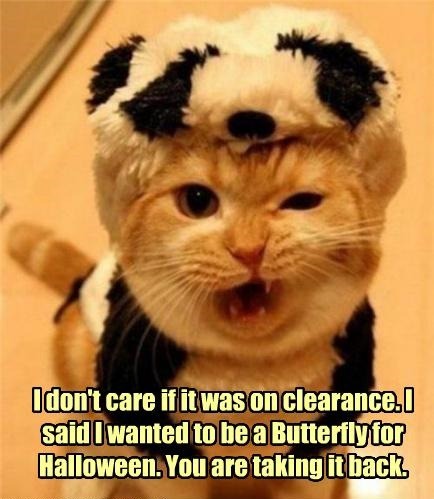 Alright already &hellip; you don’t have to get catty about it