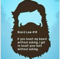 wannajoke:  Beard Law