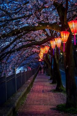 bonitavista:  Yokohama, Japan photo via tisha 