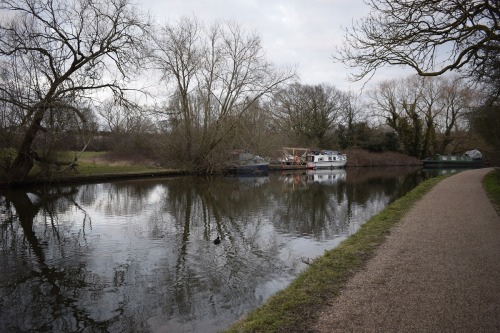 Trees reflected in the Grand Union Canal near the Greenford Road Bridge, Greenford, London Borough o