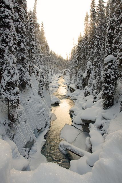bluepueblo:  Snow River, British Columbia, Canada photo via channing   17/12/13