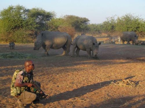 Proud to sponsor the quality ranger training at NKWE in South Africa! These men take part in a rigor