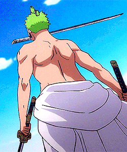 Zoro Roronoa Zorojuro ロロノア ゾロ One Pie Tumbex